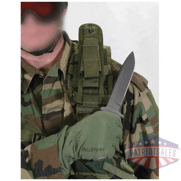 Blue Duty Access Mnt Screw