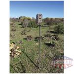 stealth cam trail cam mounting - stick 34" high steel