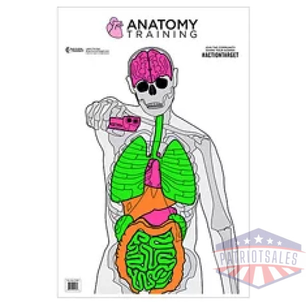 ACTION TGT ANATOMY TRNG 100PK