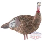 avian x lcd lookout hen decoy