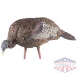 avian x lcd feeder hen decoy