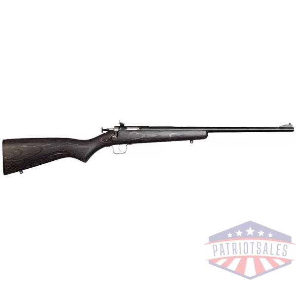 CRICKETT RIFLE G2 22LR - BLUED/BLACK LAMINATE
