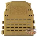 HSGI CORE PLATE CARRIER LG COY