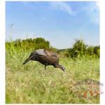 flextone thunder chick feeding - hen decoy w/stake