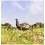 flextone thunder chick upright - hen decoy w/stake