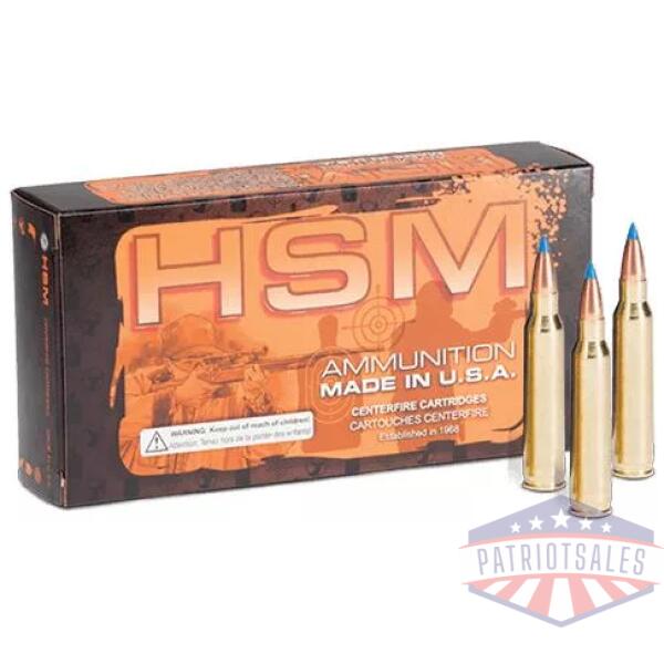 HSM Varmint V-MAX Rifle Ammunition .22 Hornet 35gr PT 2975 fps 50/ct