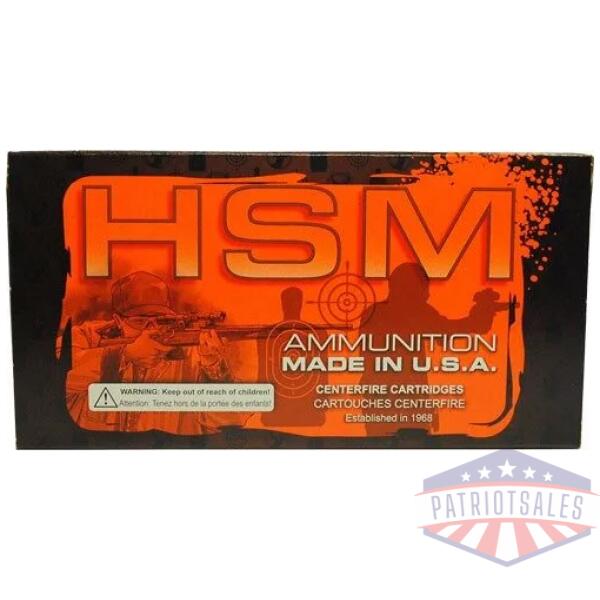 HSM 300 AAC 110GR V-MAX - 20RD 25BX/CS