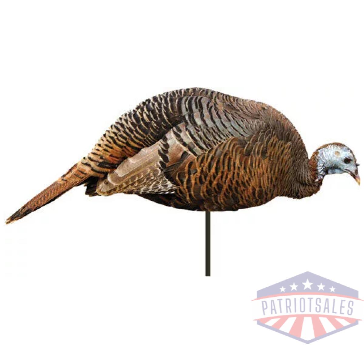 M0043. Webp - montana decoy turkey hen - dinner belle - m0043