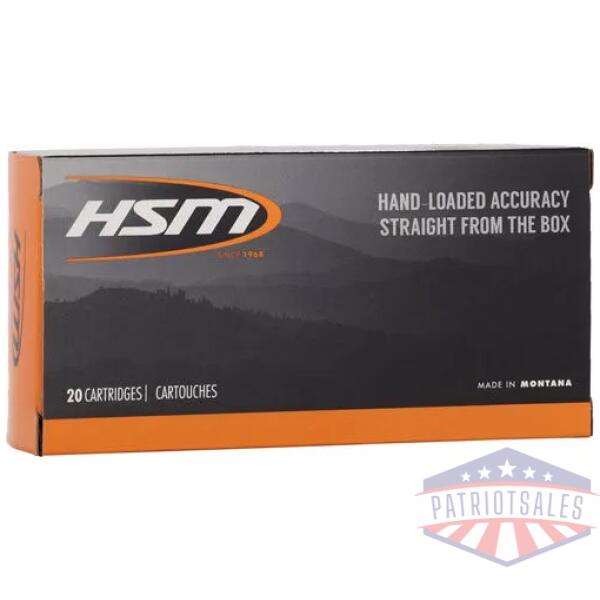 HSM 300 WSM 180GR GAME KING - 20RD 25BX/CS