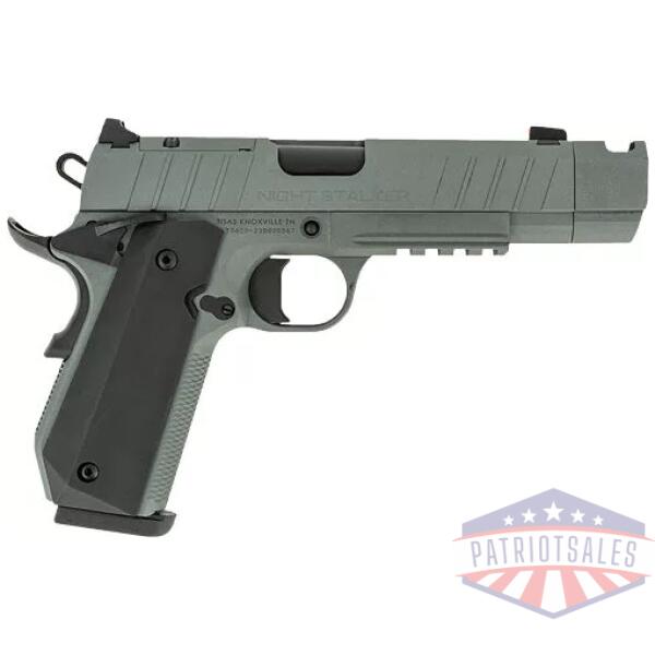 TISAS 1911 B45BA NSSF-C 45ACP - 4.25" BBL 8RD W/ CASE GREY