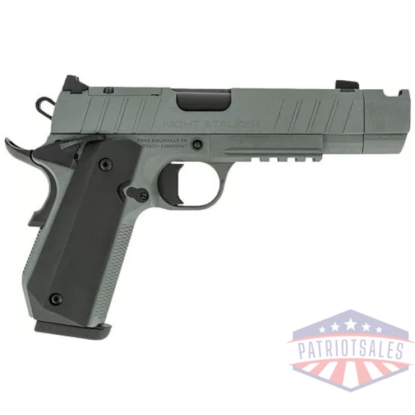 TISAS 1911 B45BA NSSF-C 45ACP - 4.25" BBL 8RD W/ CASE GREY