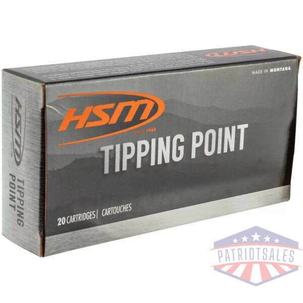 HSM Tipping Point 2 Rifle Ammunition .30-06 Sprg 165 gr SST 20/ct