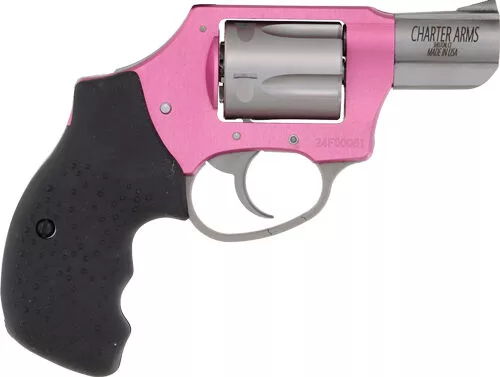 CHARTER ARMS PINK LADY 38SPL - 2" PINK/SS DAO