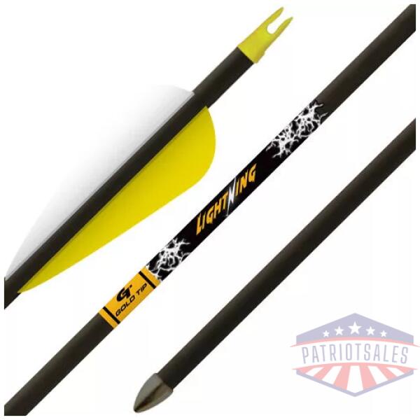 GOLD TIP ARROW LIGHTNING YOUTH - 2.5" VANE TEC GLUED-IN PNT 3PK