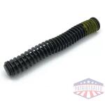 Recoil Spring Assembly, P365XL, P365-XMacro