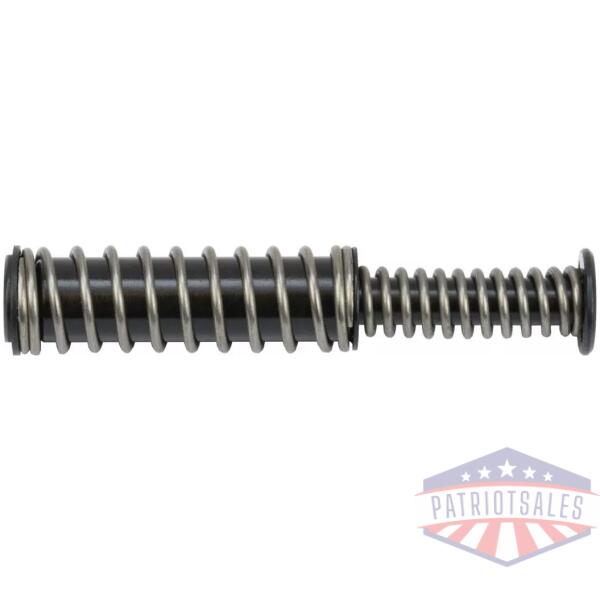 P365 Recoil Spring Kit