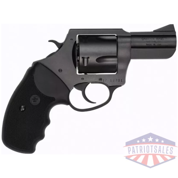 Charter Arms Pitbull Nitride Handgun .45 ACP 5rd Capacity 2.5" Barrel Full Grip
