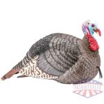 HS STRUT TURKEY DECOY JAKE - STRUT-LITE