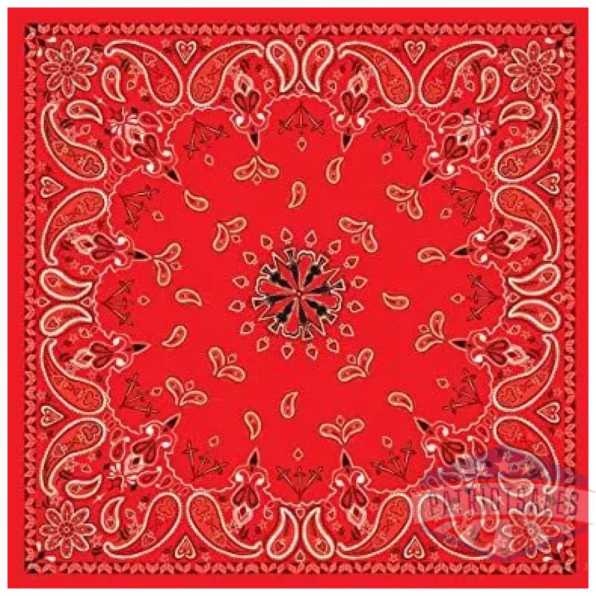 Bandanna - image 1