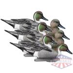 Higdon Outdoors Standard Pintail Foam Filled 6pk