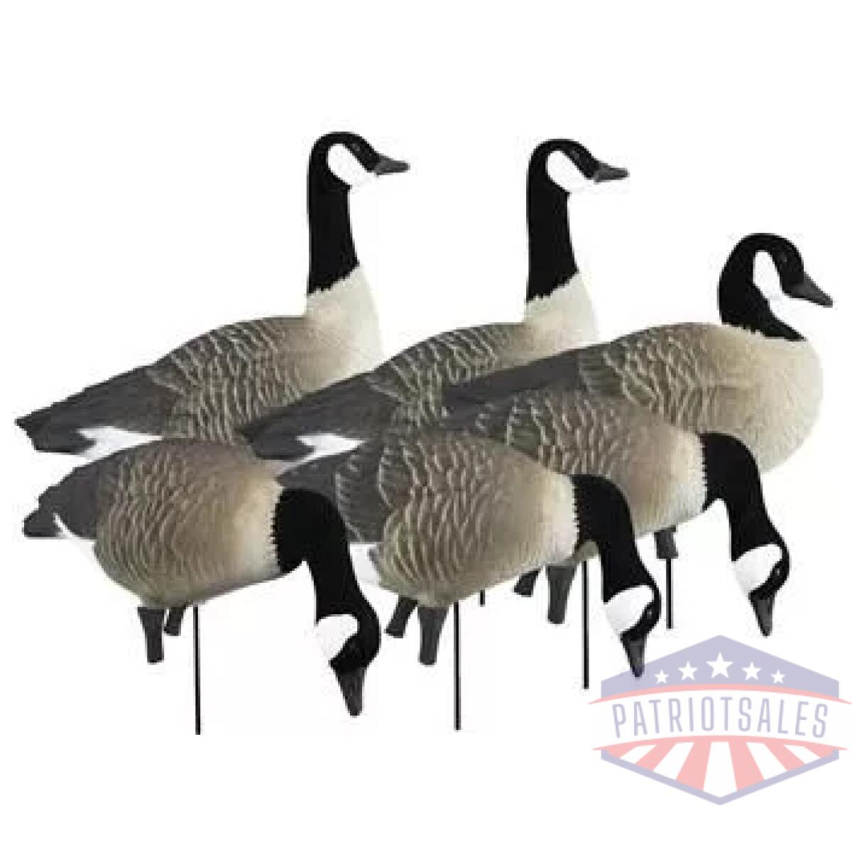 Higdon outdoors apex full-size full-body variety pack - canada goose - image 1