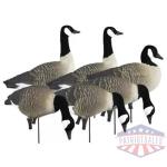 Higdon Outdoors APEX Full-Size Full-Body Variety Pack - Canada Goose