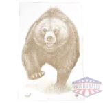 ACTION TGT AK STATE PARK BEAR 100PK