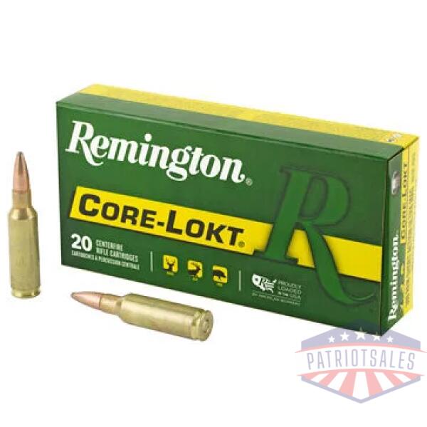 REM 300RSAUM 165GR PSP CL 20/200