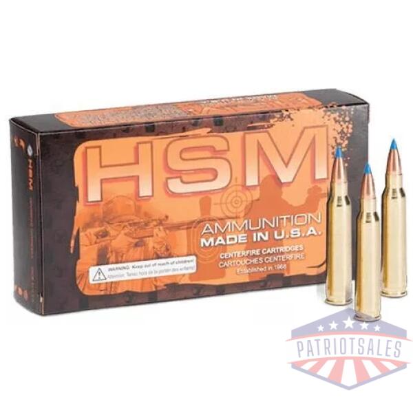 HSM Varmint BlitzKing Rifle Ammunition .220 Swift 50gr PT 3551 fps 20/ct
