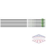 EASTON ARROW AXIS 5MM 300 - 6-PACK W/ 2" BLAZER VANES