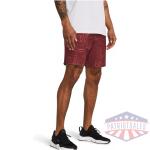 Men's UA Expanse 2-in-1 Boardshorts