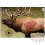 B/C TARGET PREGAME 16.5"X24" - ELK TARGET 3-TARGETS