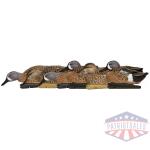 Avian-X Topflight Blue Wing Teal Decoys 6/ct