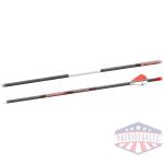 Bloodsport Punisher Arrow 400 Spine 6/pk