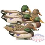 Higdon Outdoors Full Size Mallard Foam Filled 6pk