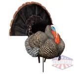 Higdon Outdoors Apex Strutter Hard Body Turkey