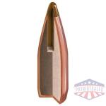 Hornady NTX Bullets .20 cal .204" 24 gr NTX 100/ct