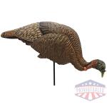 MOJO Feeder / Breeder Hen Turkey Decoy