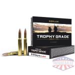 Nosler Trophy Grade Rifle Ammunition .30-06 Sprg 180 gr AB 2750 fps - 20/box