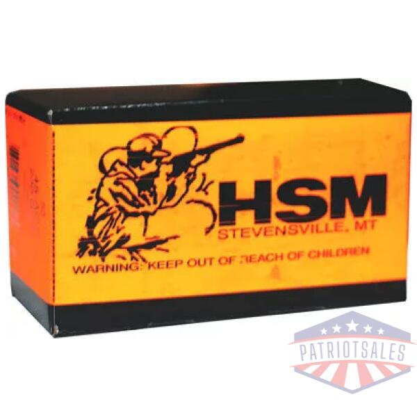 HSM SUBSONIC 45 ACP 230GR - LEAD-RN 50RD 20BX/CS