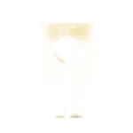 ENERGETIC VOX BLOX 1.07"