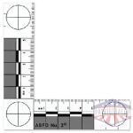 ABFO No. 2 Photomacrographic Scale