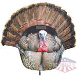 MONTANA DECOY TURKEY GOBBLER - FANATIC 2D