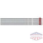 EASTON ARROW 5MM FMJ 300 - 6-PACK W/ 2" BLAZER VANES