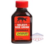 WRC DEER LURE SELECT DOE - URINE 1FL OUNCE - Image 2