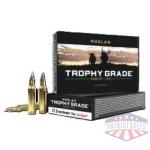 NOSLER TROPHY GRADE 22CM - 70GR ACCU TIP 20RD 10BX/CS