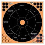 ALLEN EZ AIM 12"X12" HG TRAINER 5PK