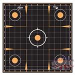 ALLEN EZ AIM 12"X12" SIGHT-IN 5PK