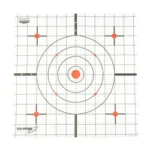 B/C EZE-SCORER THERMAL TARGET 4PK