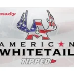 HRNDY AWT 30-06 165GR SST 20/200